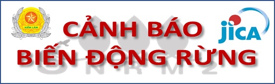 Cảnh báo biến động rừng